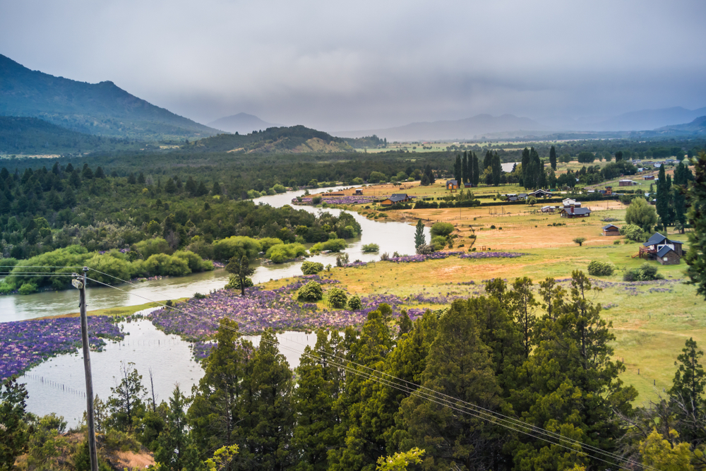 Los Alerces National Park
