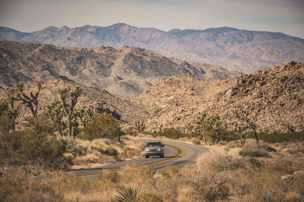 Joshua Tree National Park