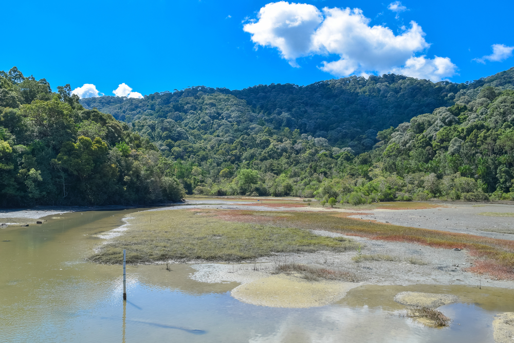 Penang National Park