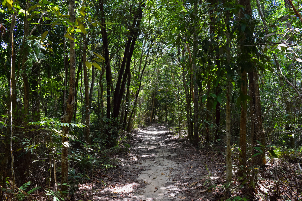 Penang National Park