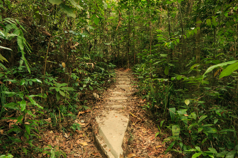 Penang National Park