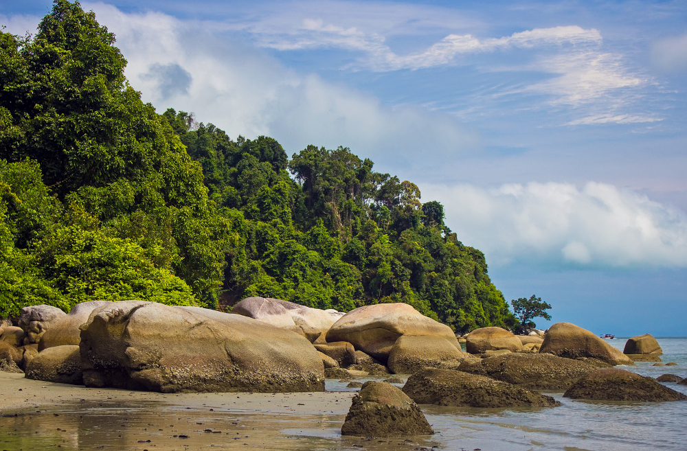 Penang National Park
