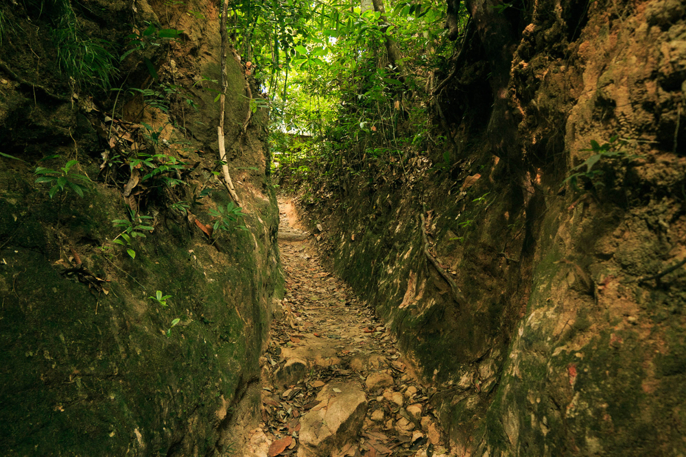 Penang National Park