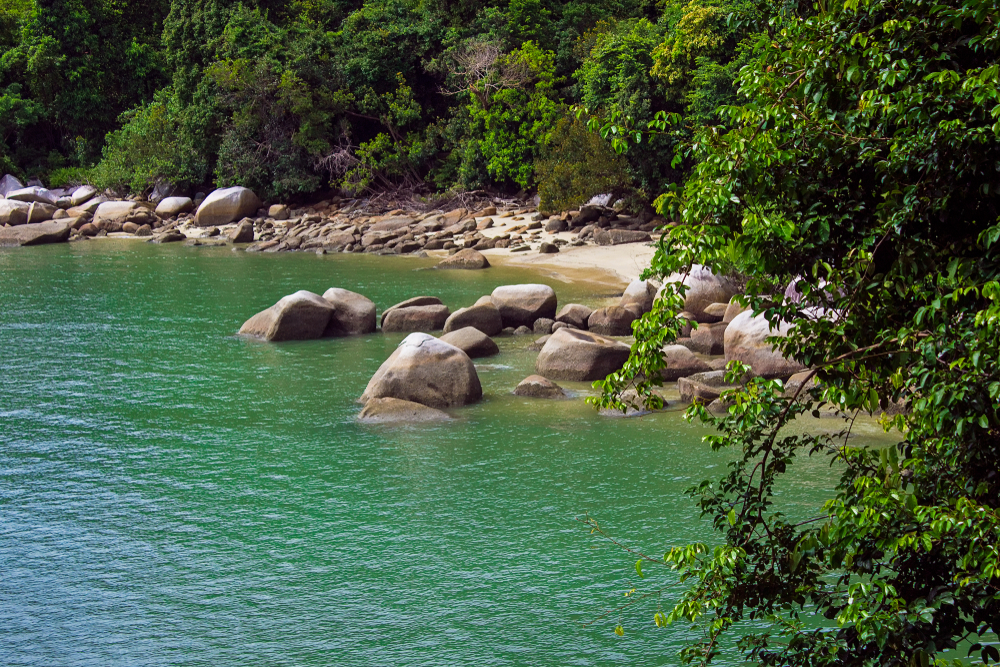 Penang National Park