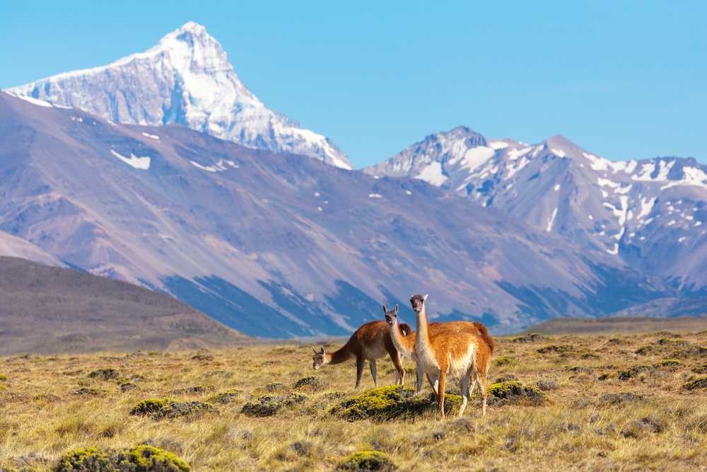 Perito Moreno National Park