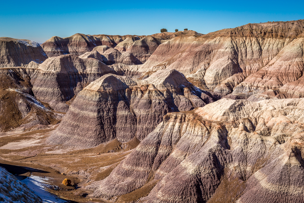 Petrified Forest National Park