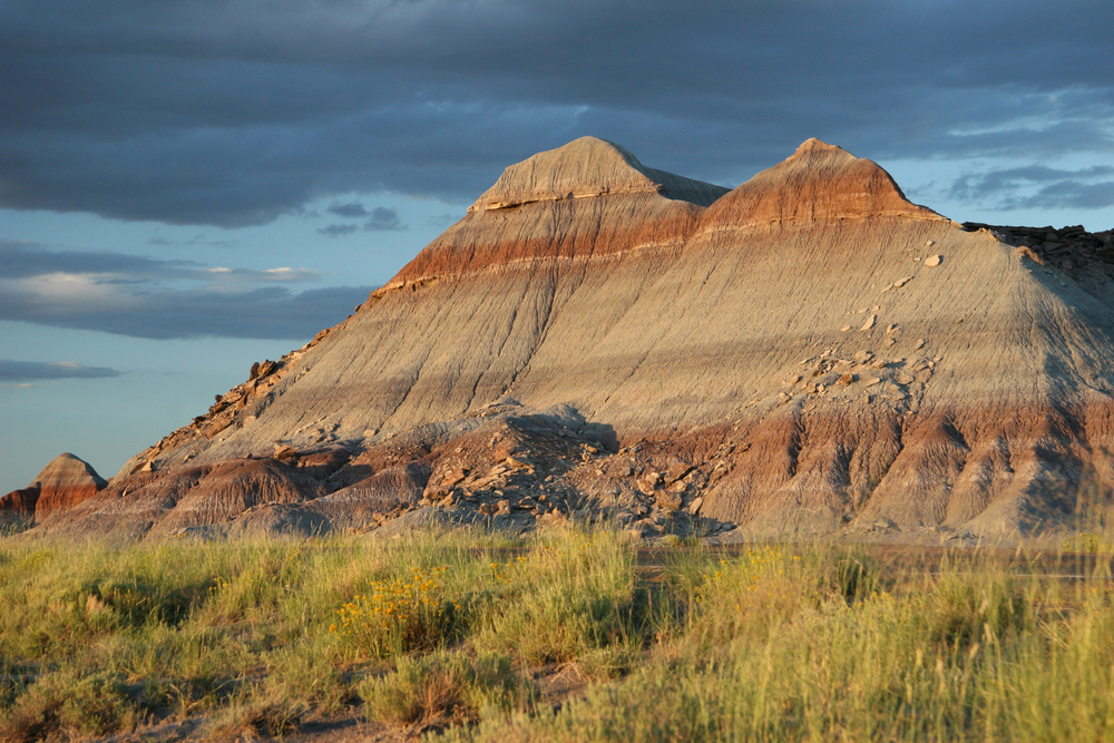 Petrified Forest National Park