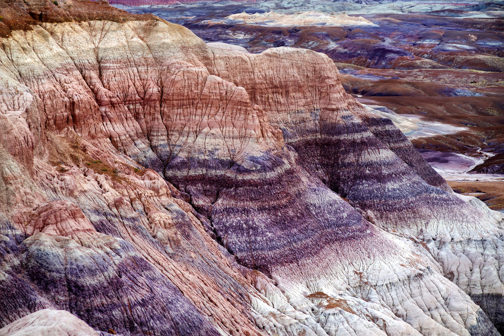 Petrified Forest National Park