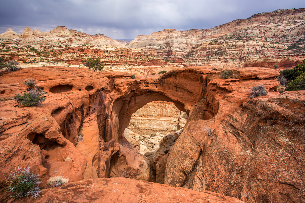Capitol Reef National Park