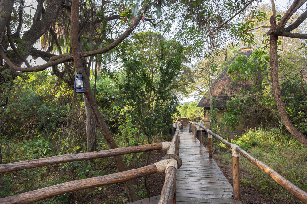 Podocarpus National Park