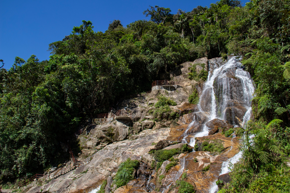 Podocarpus National Park