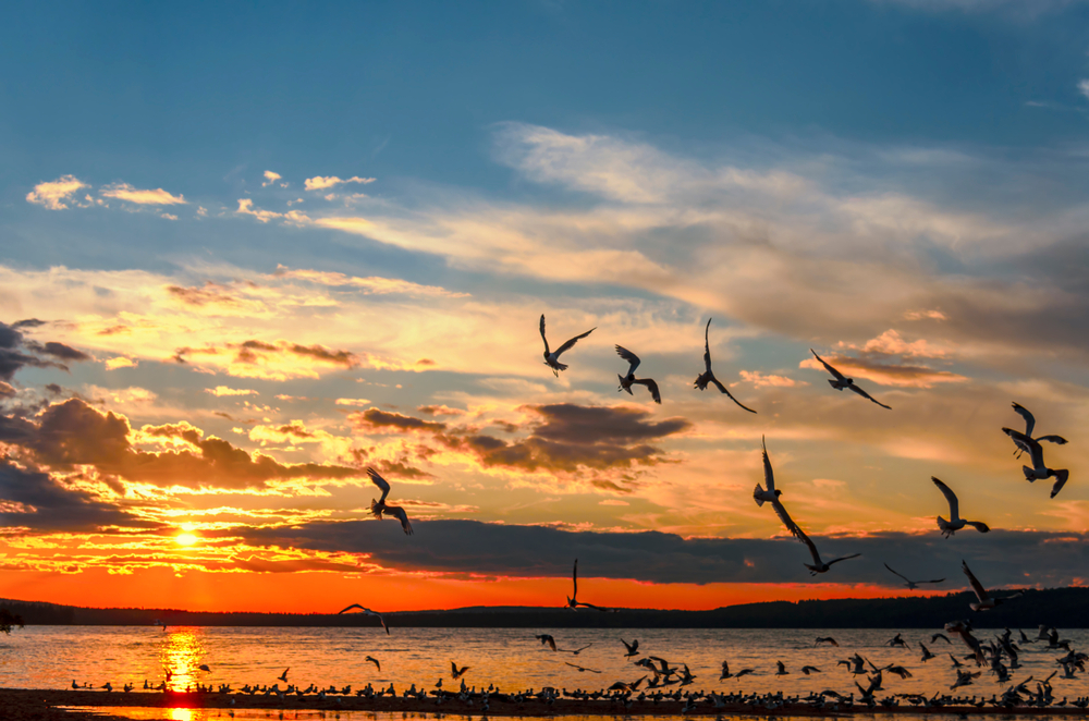 Prince Albert National Park