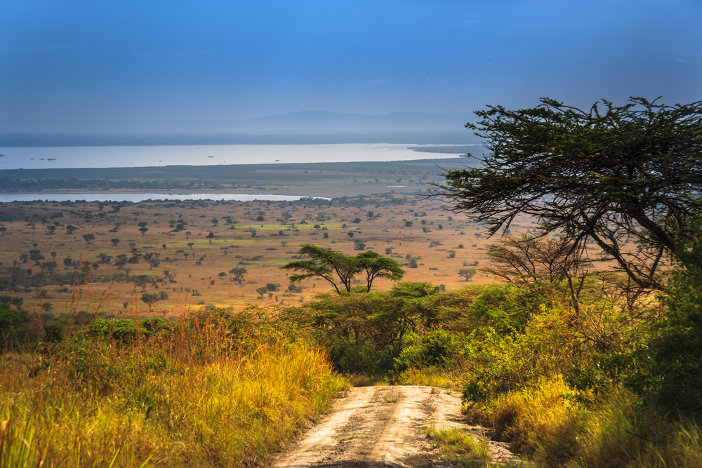 Queen Elizabeth National Park