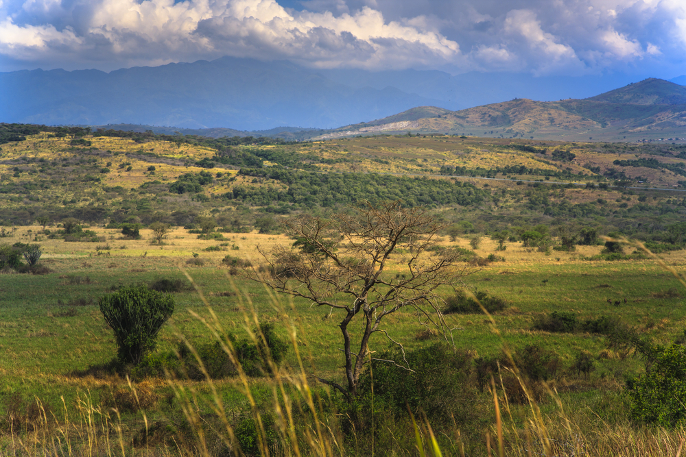 Queen Elizabeth National Park