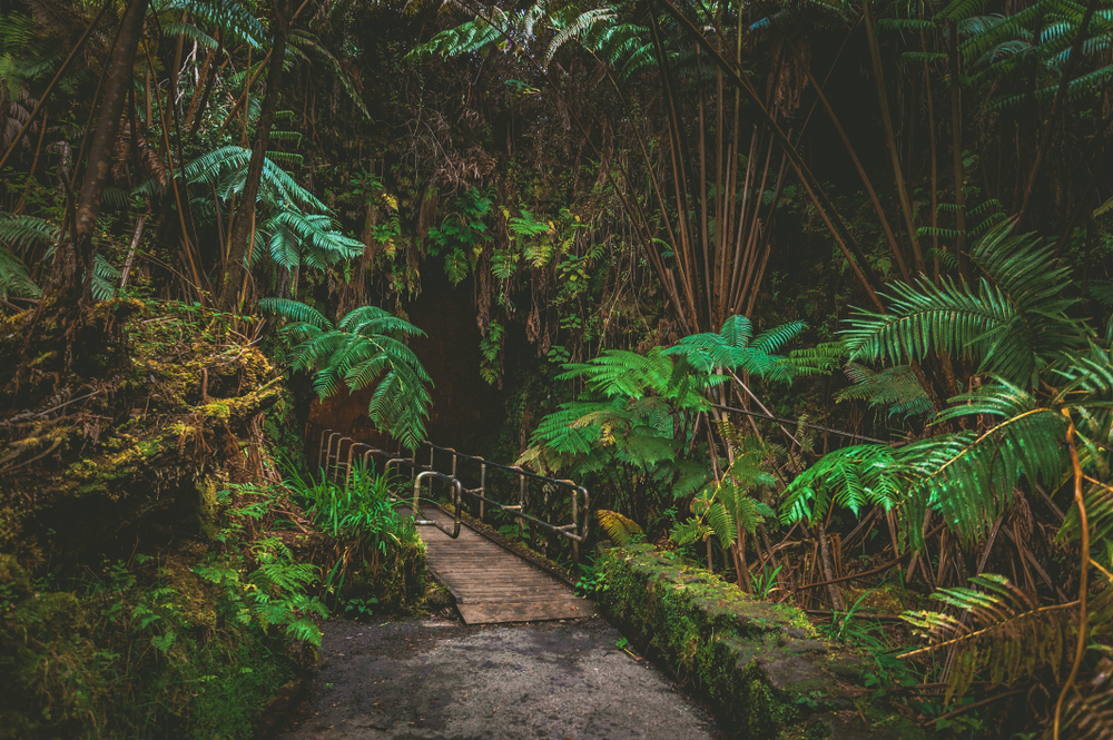 Hawai’i Volcanoes National Park