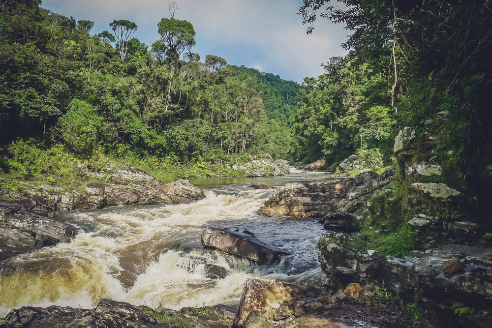 Ranomafana National Park