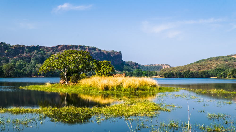 Ranthambore National Park