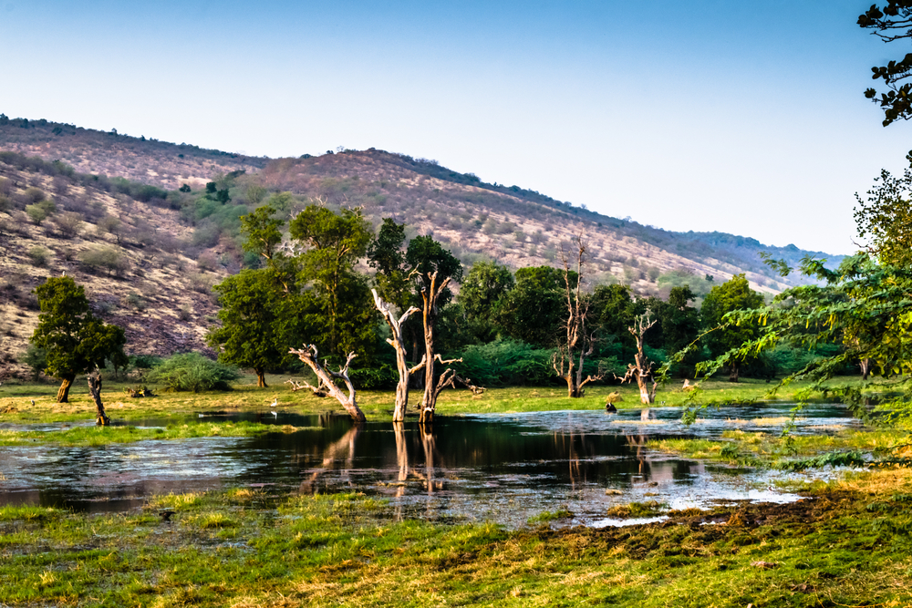 Ranthambore National Park