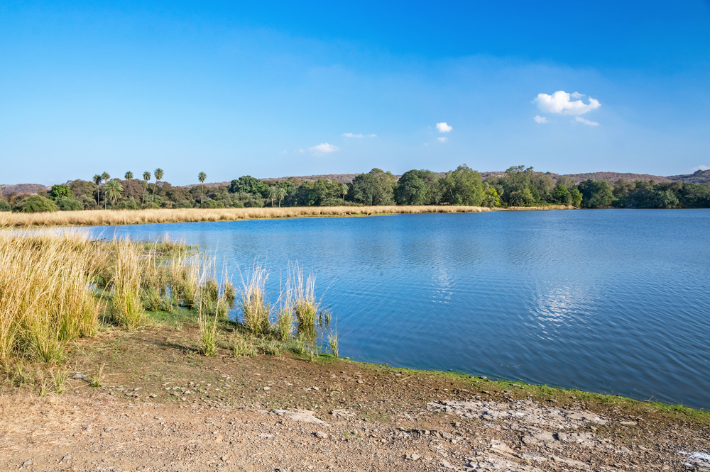 Ranthambore National Park
