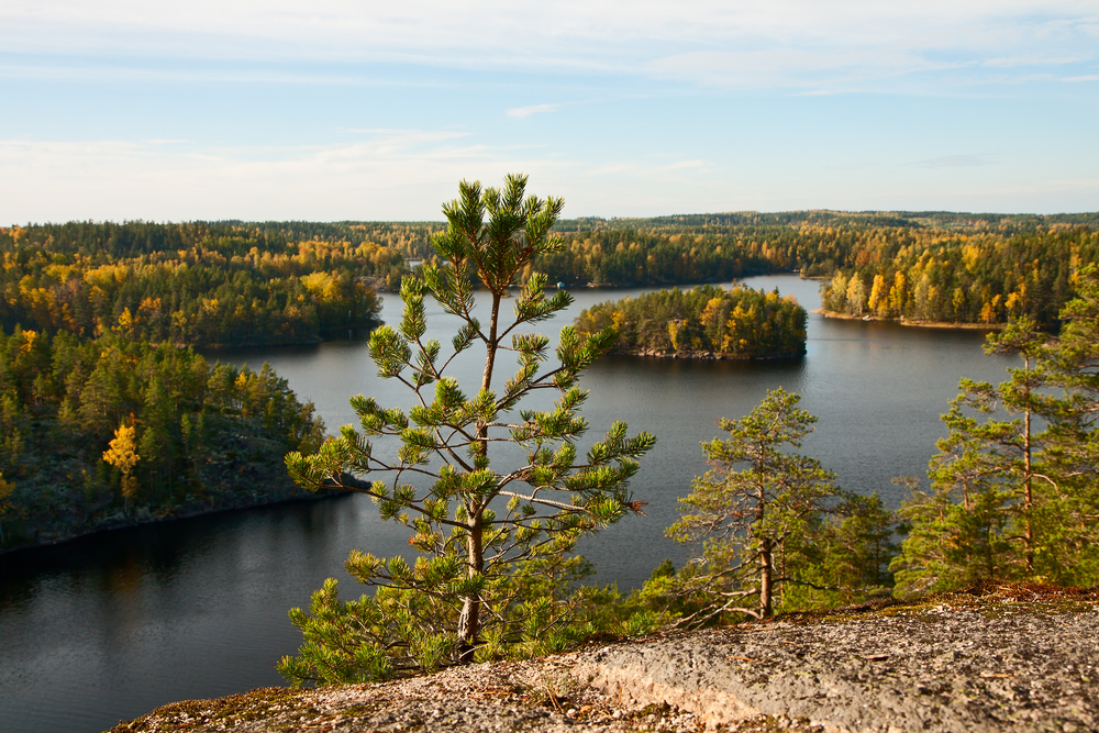 Repovesi National Park