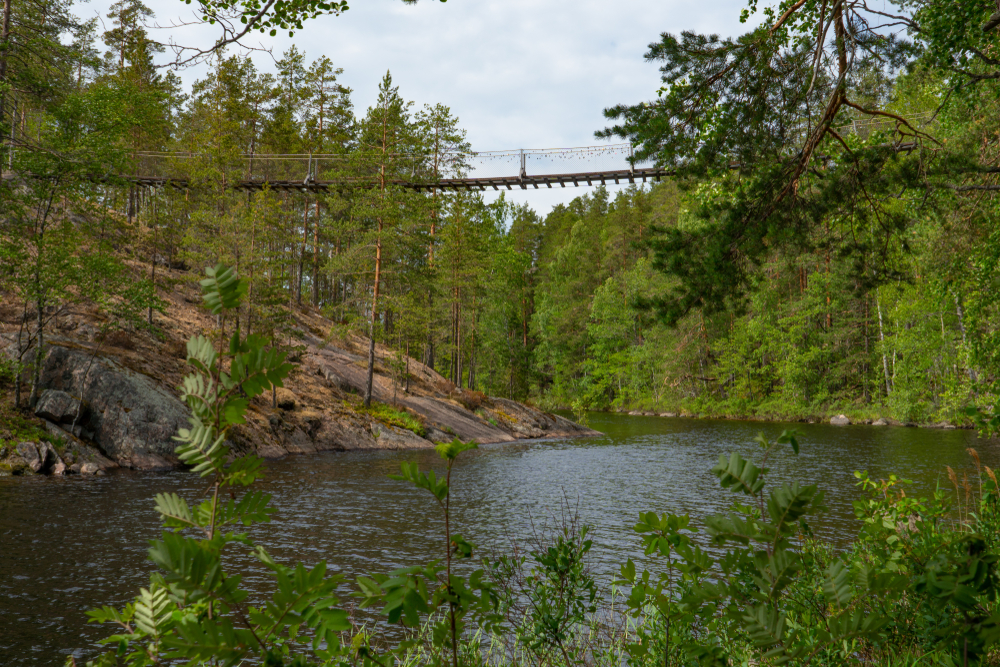 Repovesi National Park