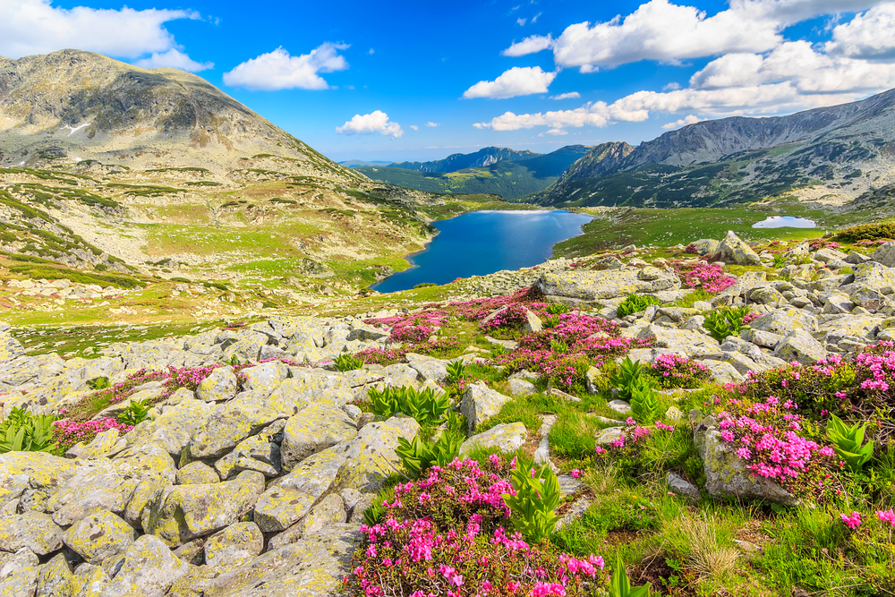 Retezat National Park