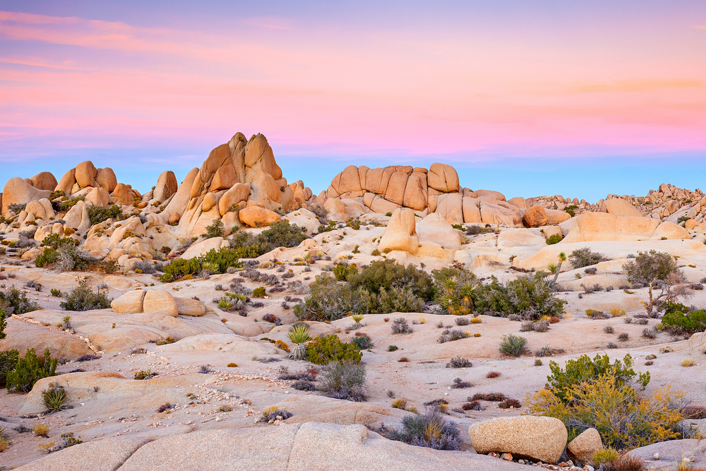 Joshua Tree National Park