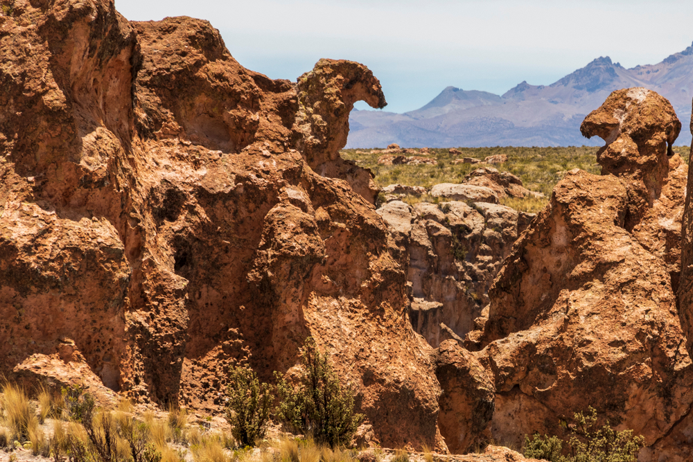 Sajama National Park