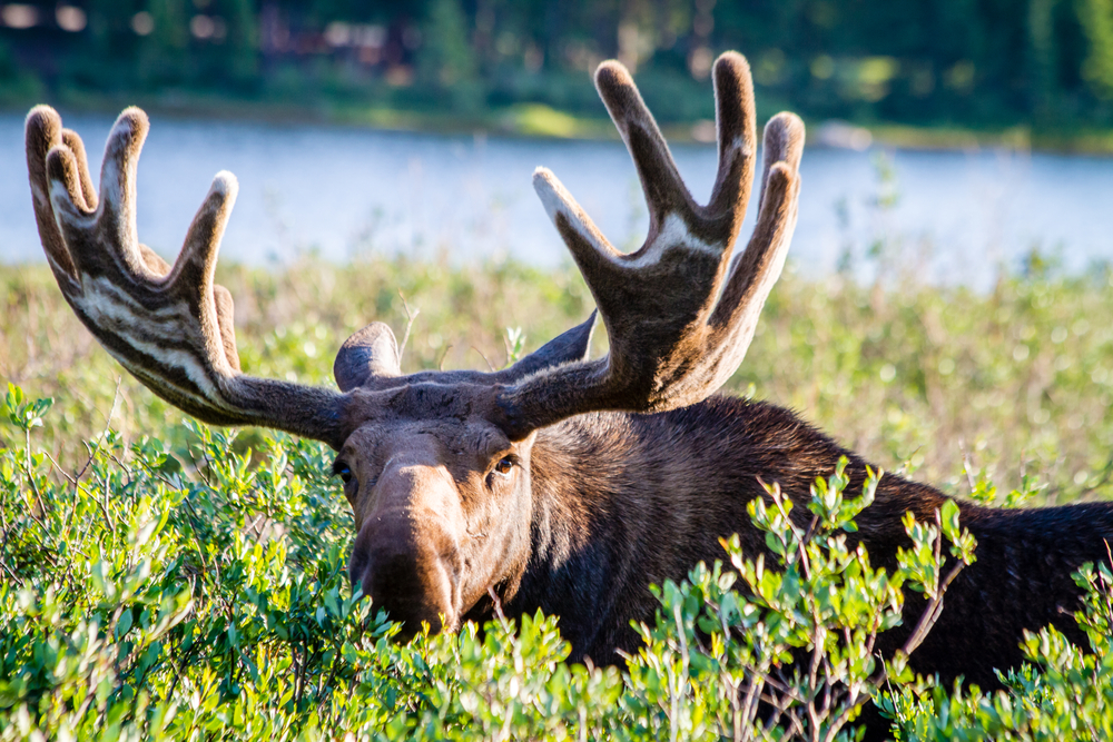 Rocky Mountain National Park
