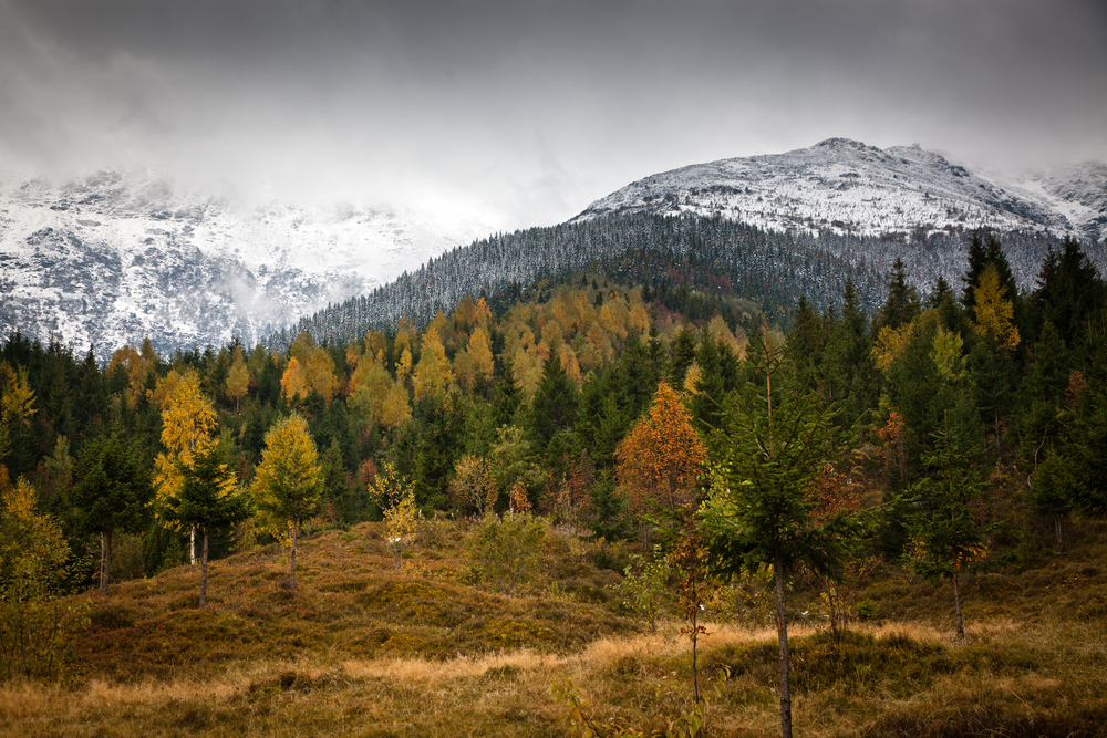 Rodna Mountains National Park