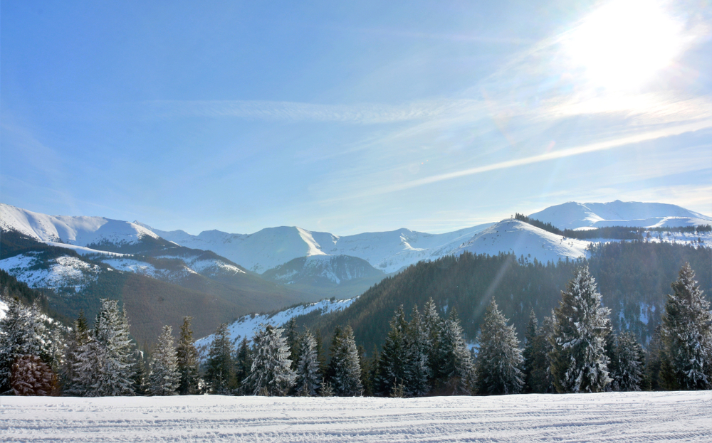 Rodna Mountains National Park