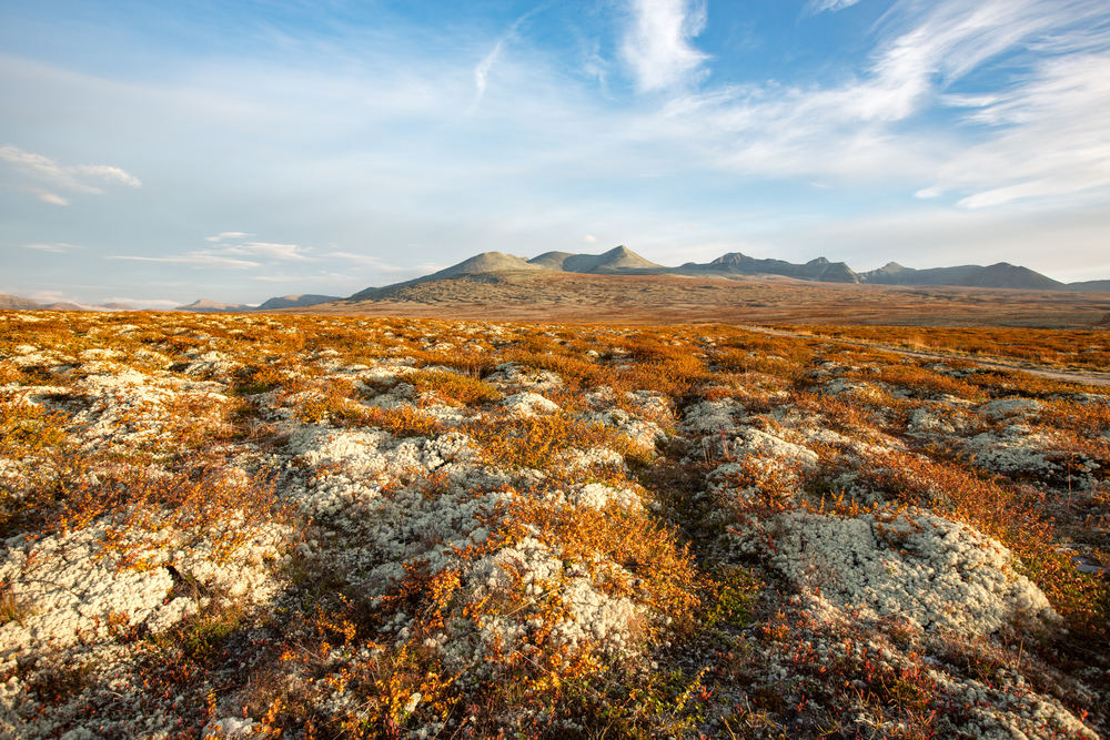 Rondane National Park