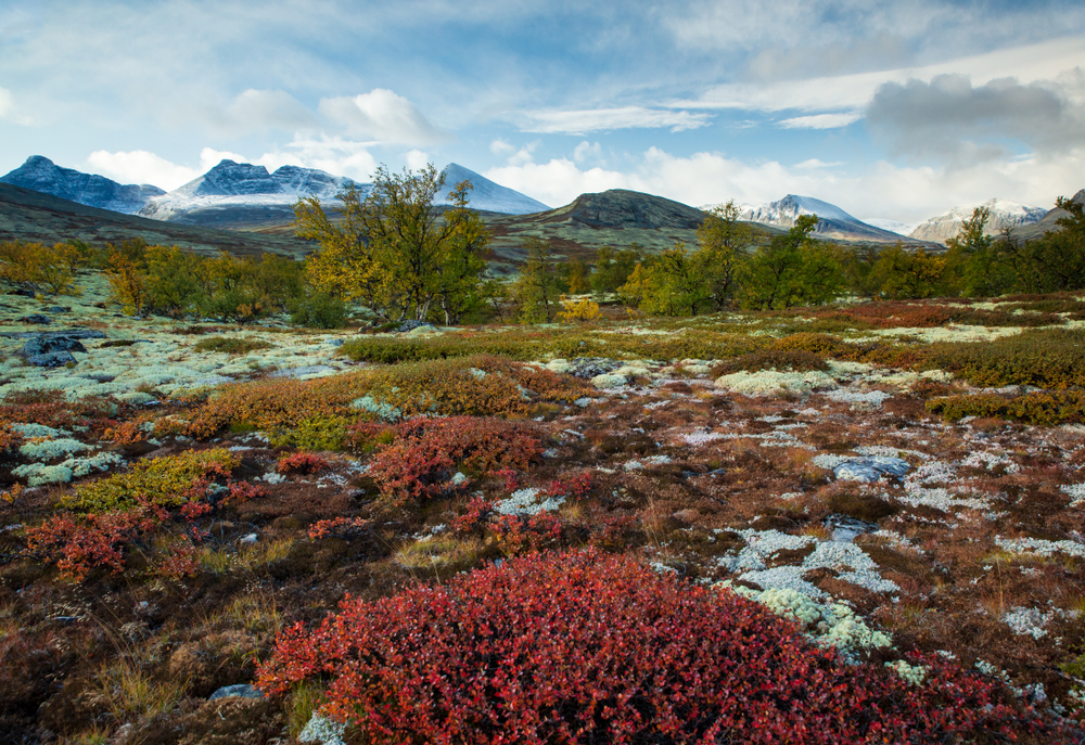 Rondane National Park