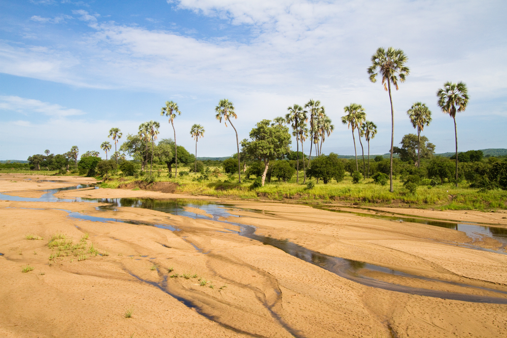 Ruaha National Park