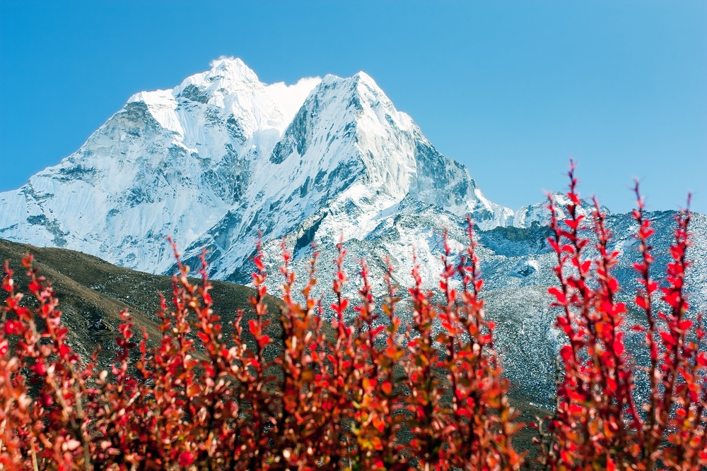 Sagarmatha National Park
