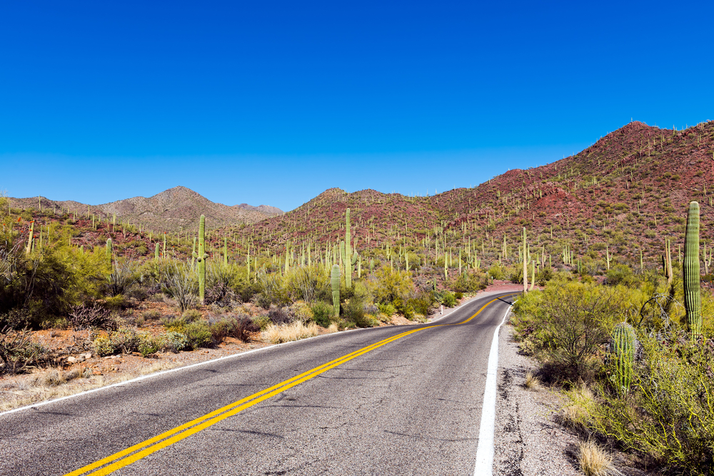 Saguaro National Park