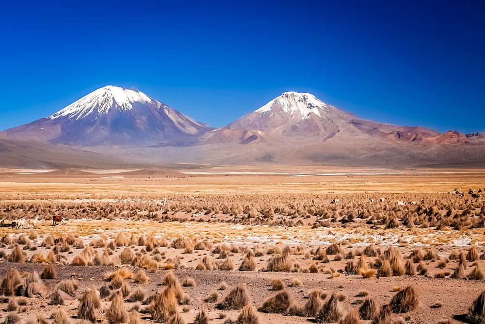 Sajama National Park