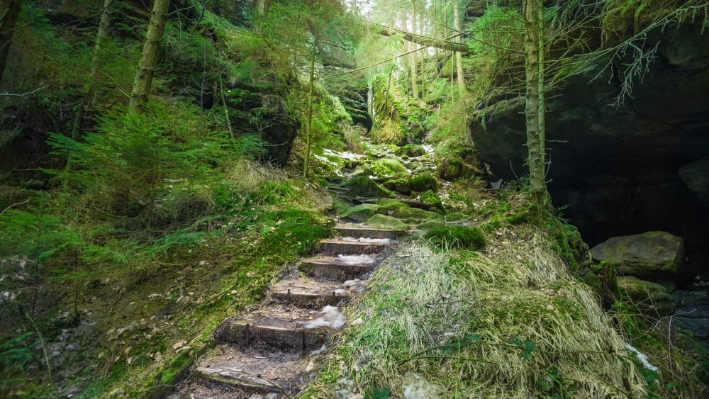 Saxon Switzerland National Park