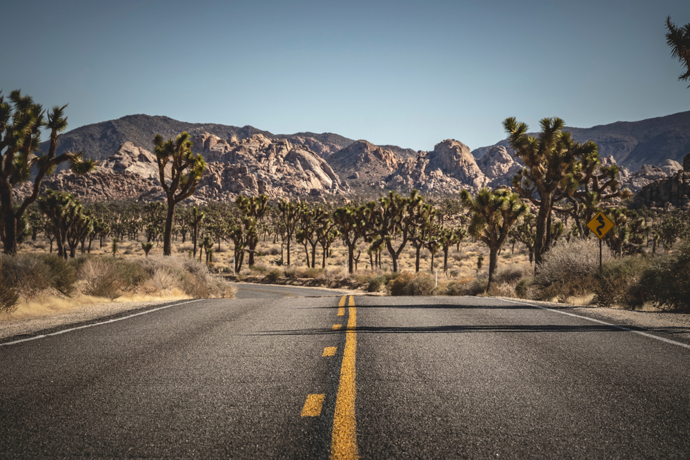 Joshua Tree National Park