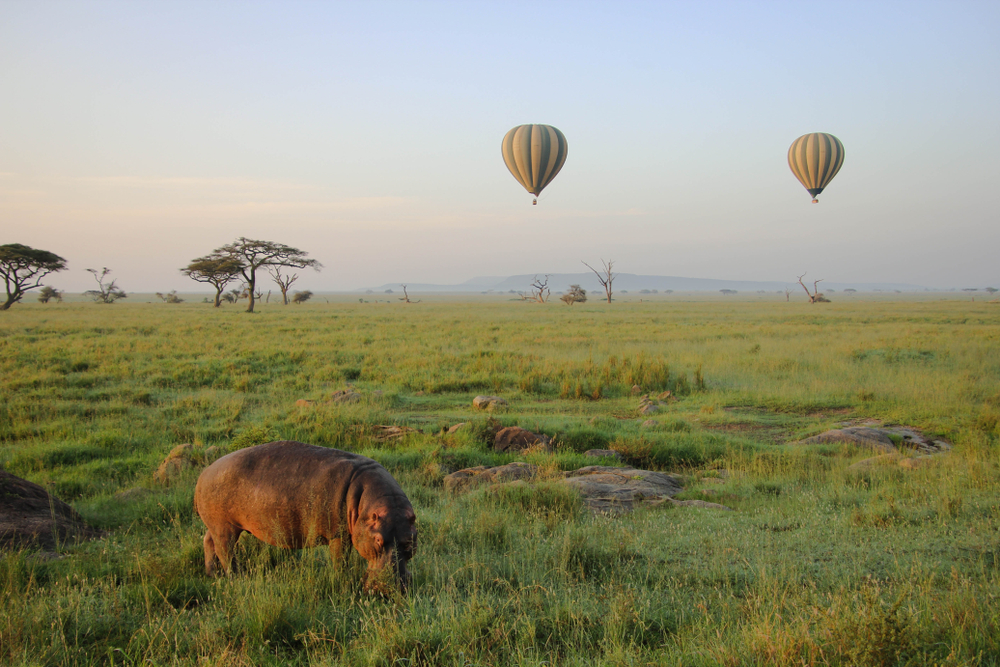 Serengeti National Park