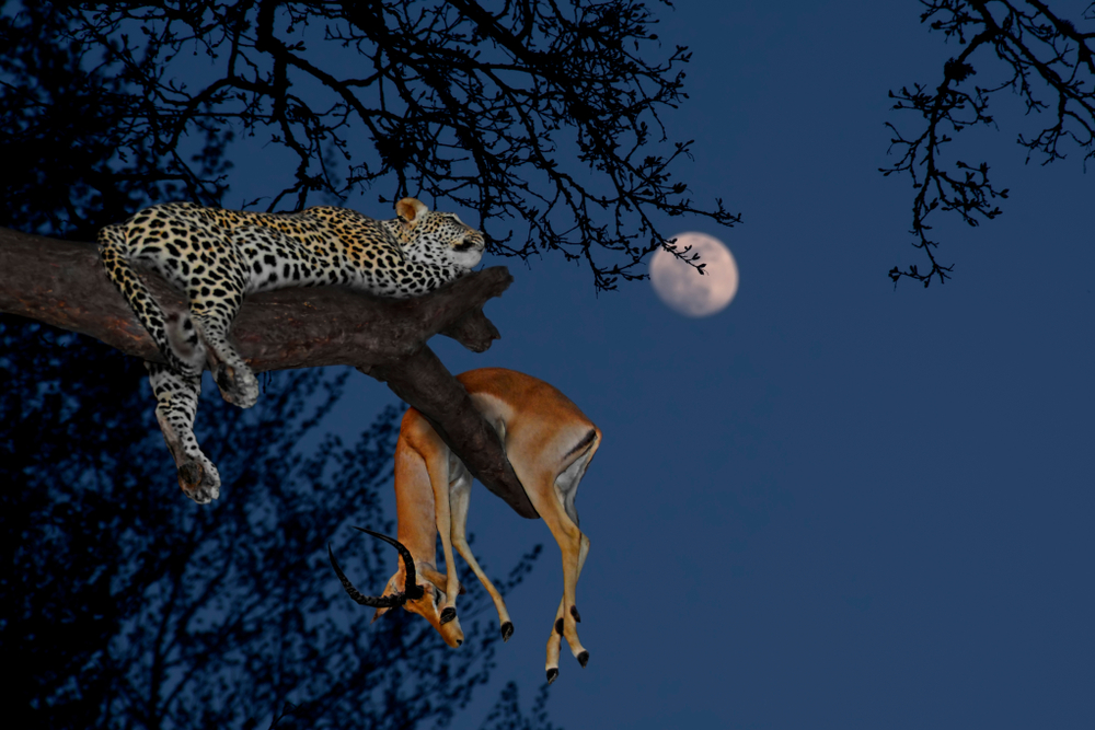 Serengeti National Park