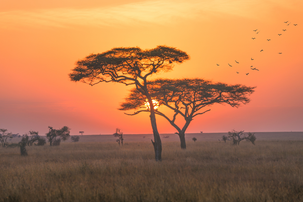 Serengeti National Park