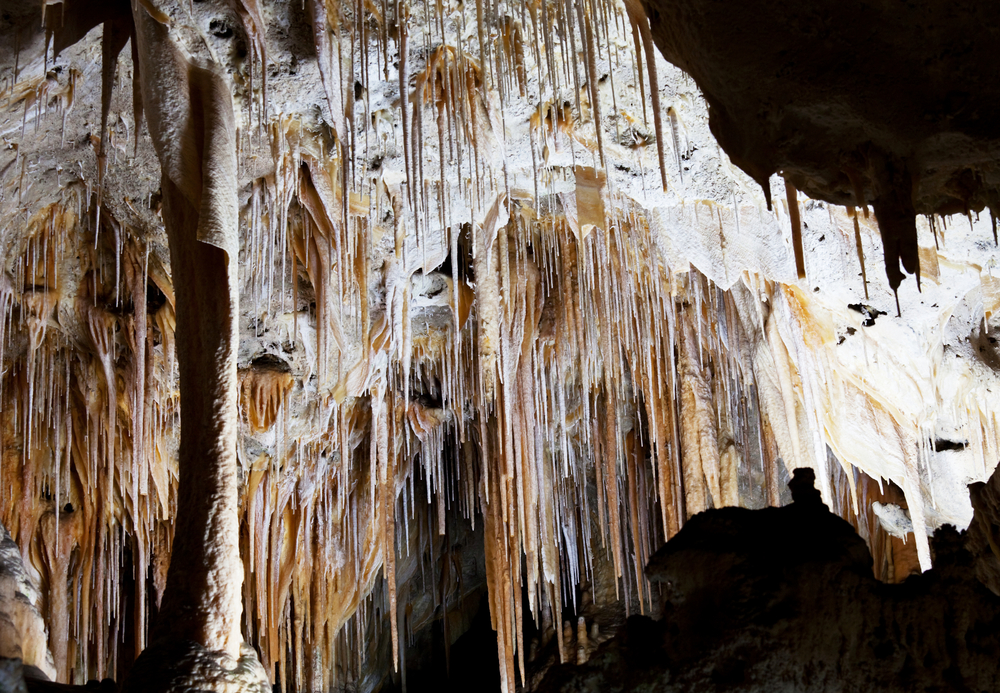 Carlsbad Caverns National Park