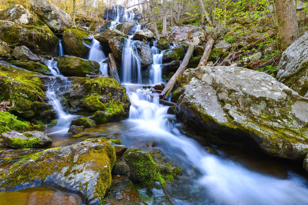 Shenandoah National Park