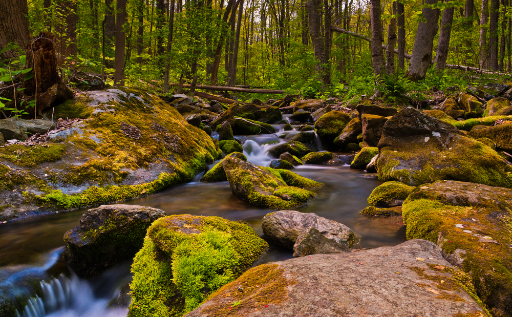 Shenandoah National Park