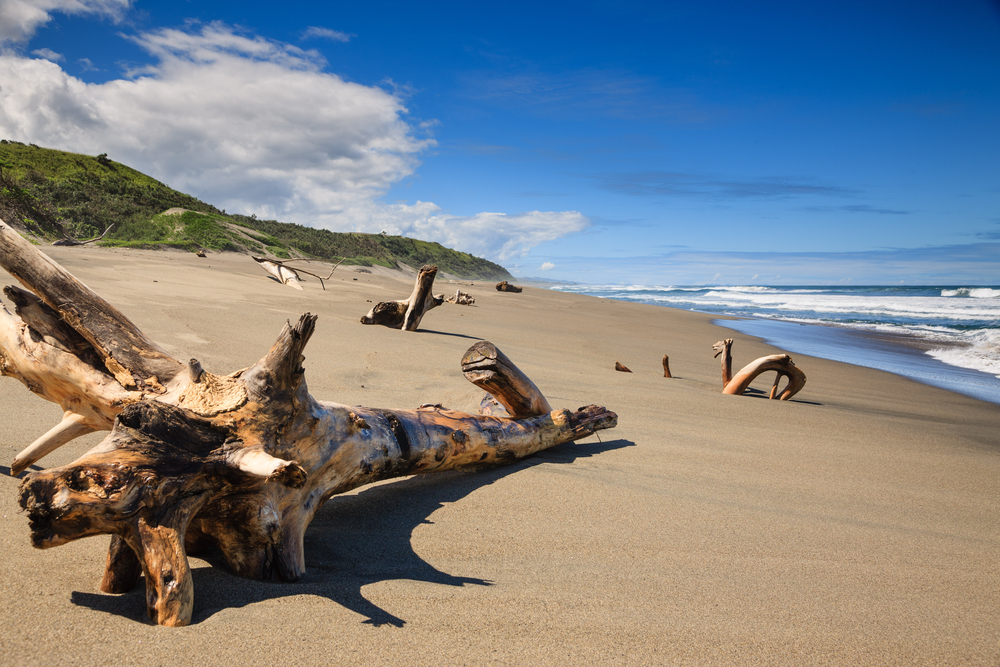 Sigatoka Sand Dunes National Park