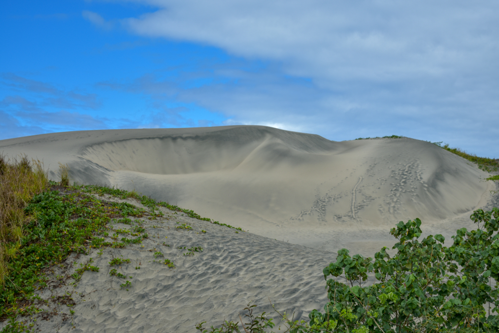 Sigatoka Sand Dunes National Park