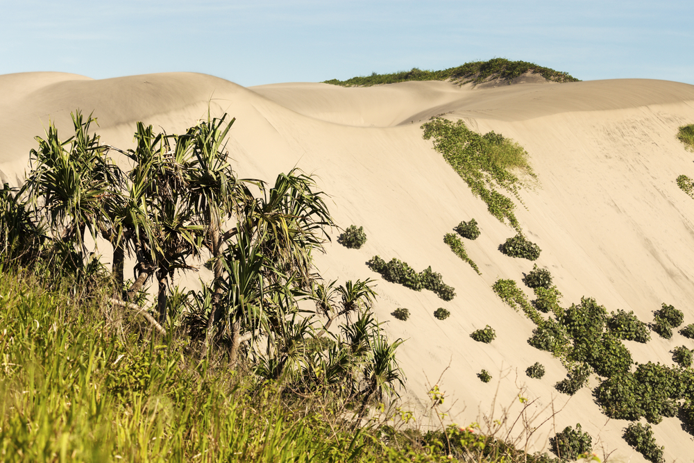 Sigatoka Sand Dunes National Park