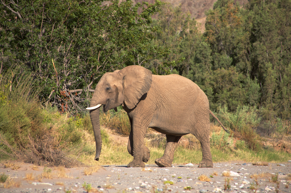Skeleton Coast National Park