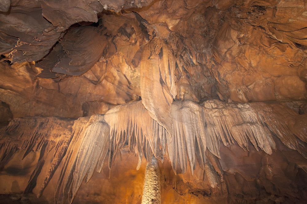 Mammoth Cave National Park